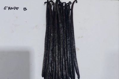 Grade B vanilla beans